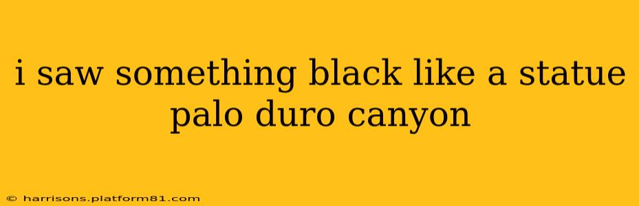i saw something black like a statue palo duro canyon