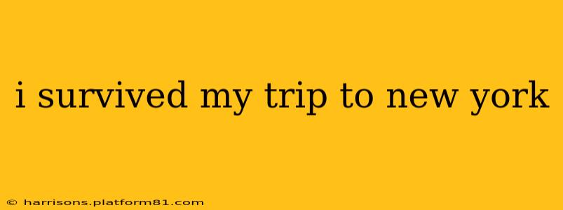 i survived my trip to new york