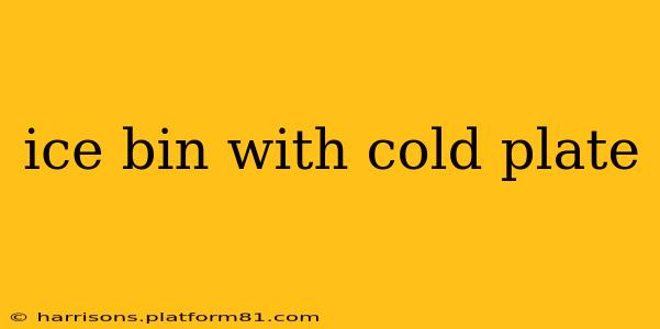 ice bin with cold plate