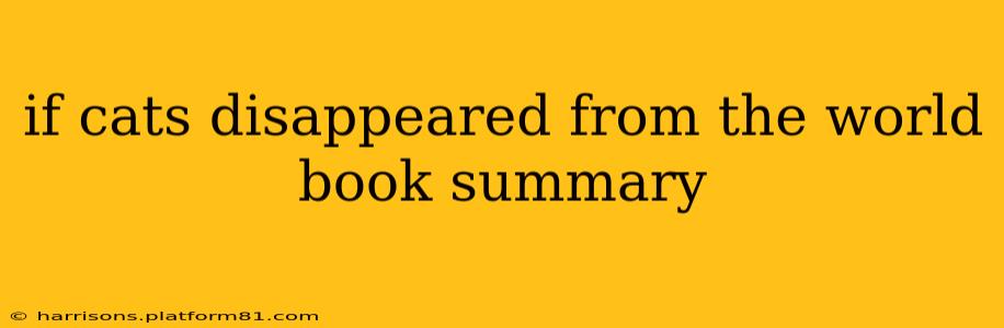 if cats disappeared from the world book summary