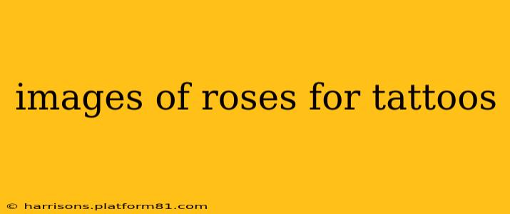 images of roses for tattoos