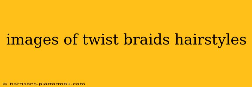 images of twist braids hairstyles