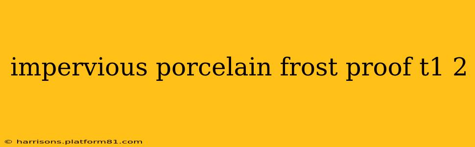impervious porcelain frost proof t1 2
