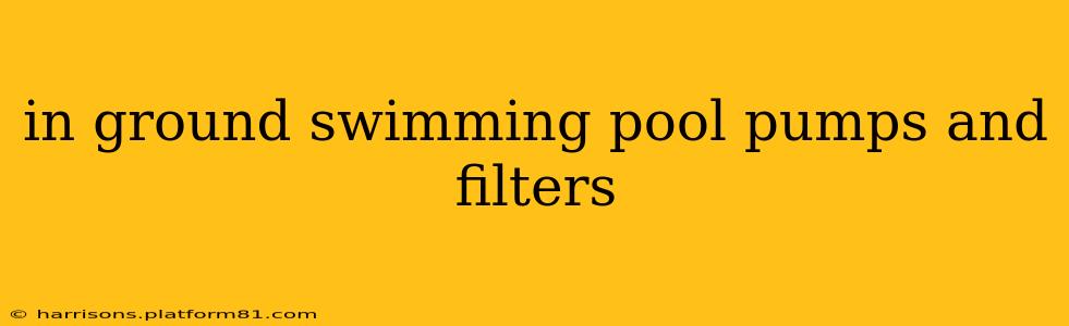 in ground swimming pool pumps and filters