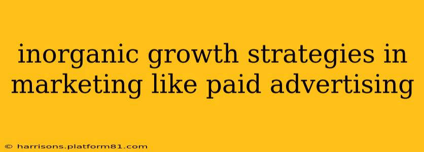 inorganic growth strategies in marketing like paid advertising