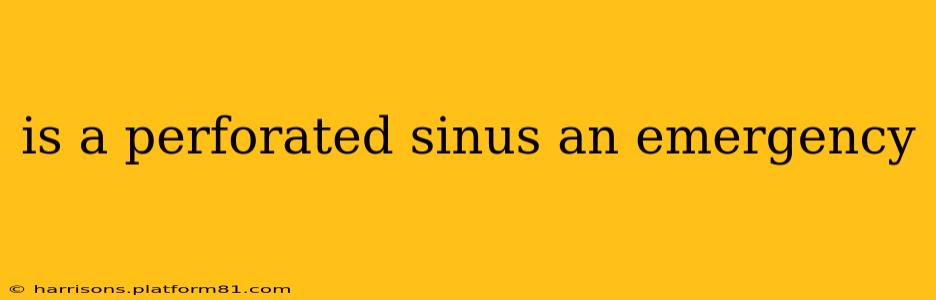 is a perforated sinus an emergency