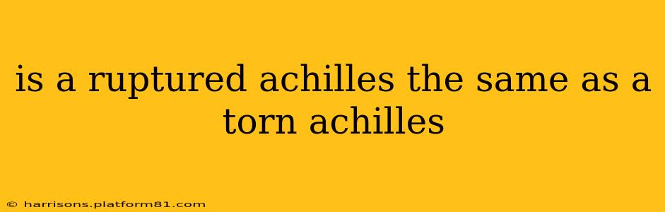 is a ruptured achilles the same as a torn achilles
