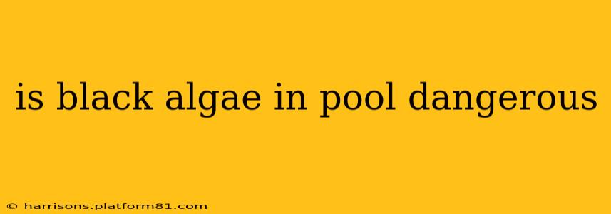is black algae in pool dangerous