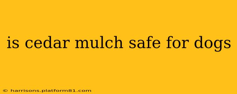 is cedar mulch safe for dogs