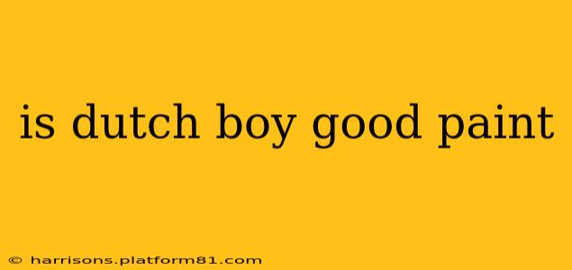is dutch boy good paint