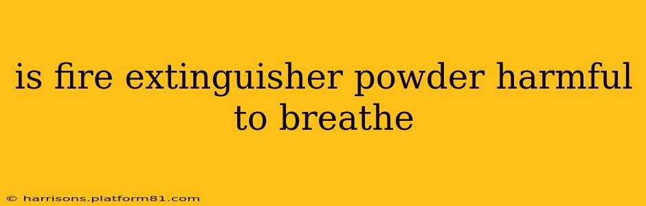 is fire extinguisher powder harmful to breathe