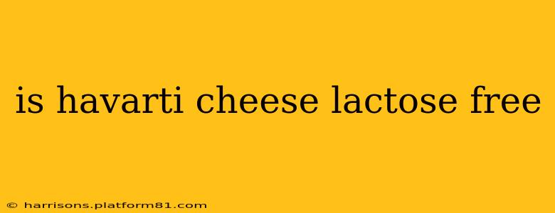 is havarti cheese lactose free