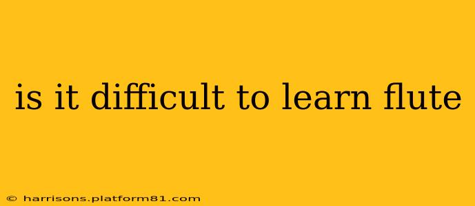 is it difficult to learn flute