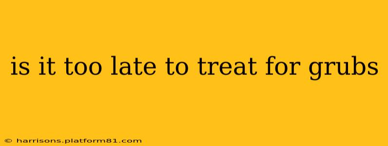 is it too late to treat for grubs