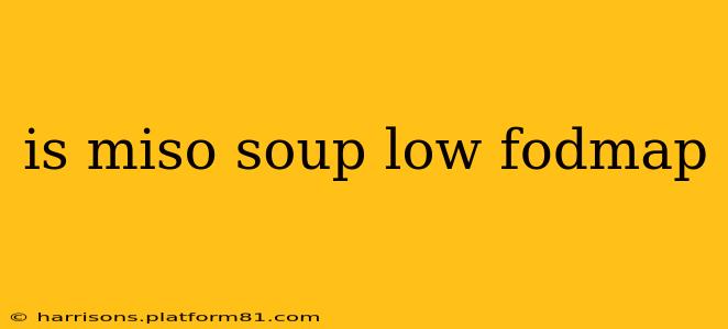 is miso soup low fodmap
