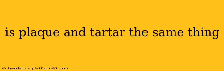 is plaque and tartar the same thing