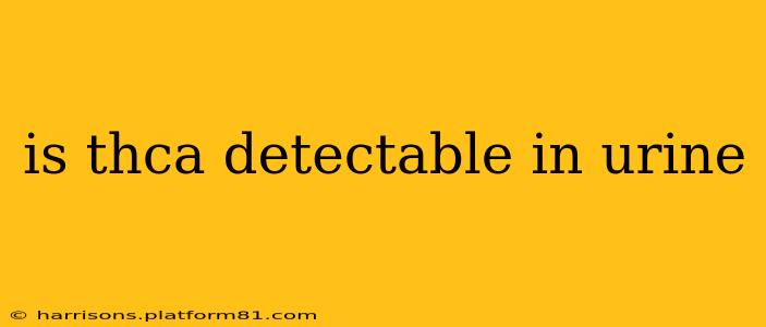 is thca detectable in urine
