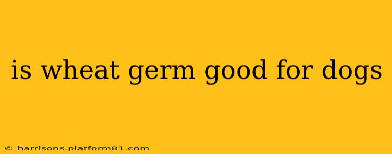 is wheat germ good for dogs