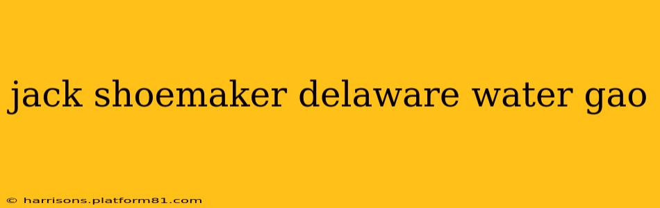 jack shoemaker delaware water gao