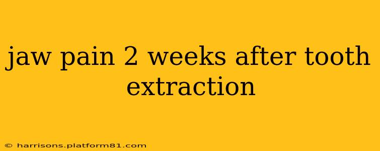 jaw pain 2 weeks after tooth extraction