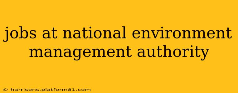 jobs at national environment management authority