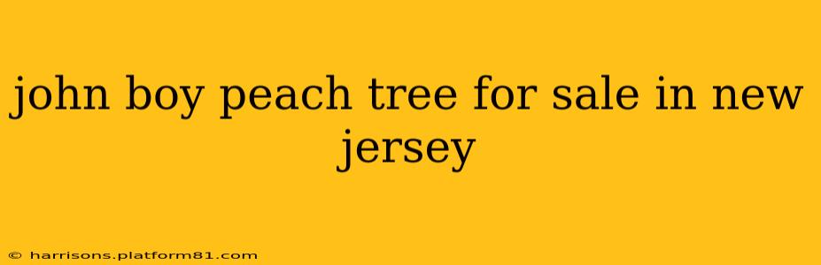 john boy peach tree for sale in new jersey