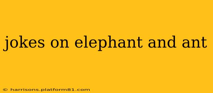 jokes on elephant and ant