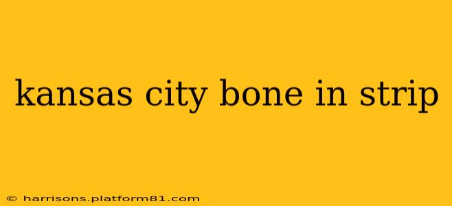 kansas city bone in strip