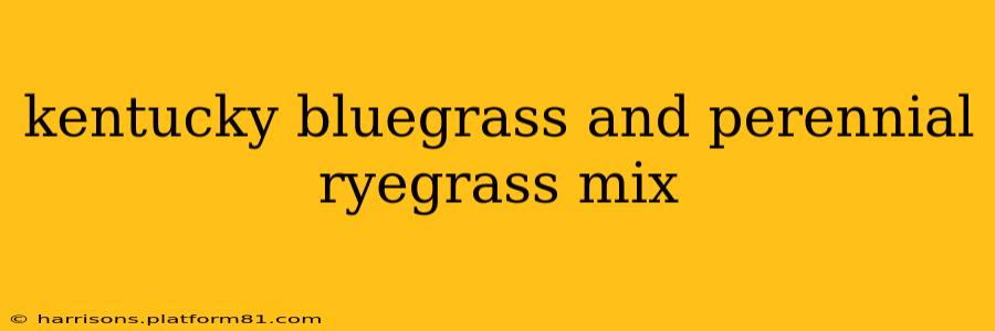 kentucky bluegrass and perennial ryegrass mix