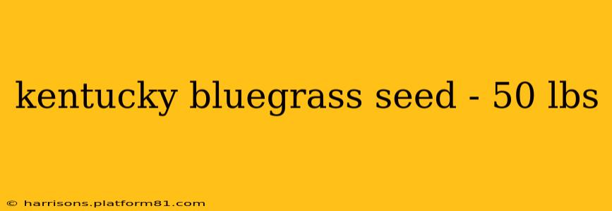 kentucky bluegrass seed - 50 lbs