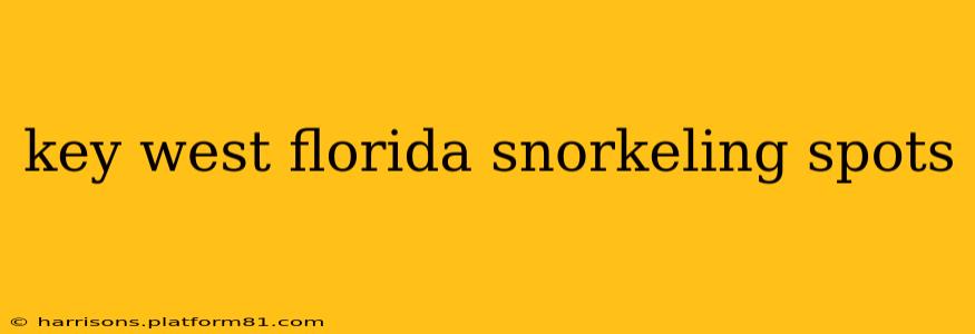 key west florida snorkeling spots