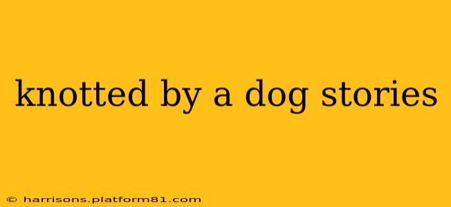 knotted by a dog stories