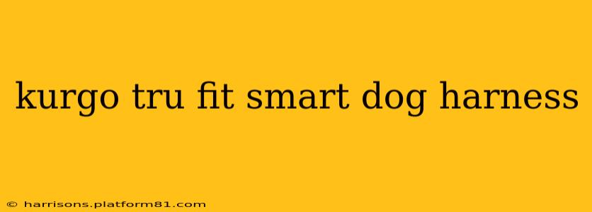 kurgo tru fit smart dog harness