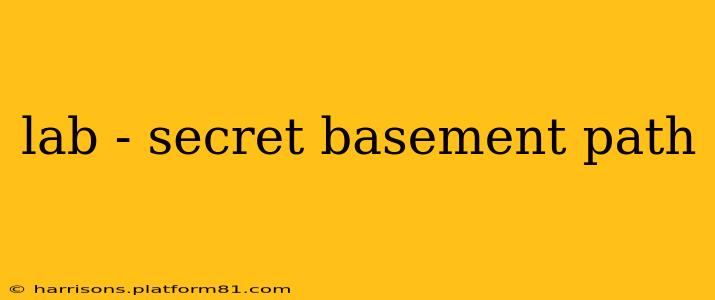 lab - secret basement path