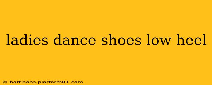 ladies dance shoes low heel