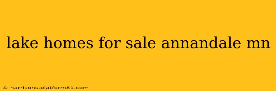 lake homes for sale annandale mn
