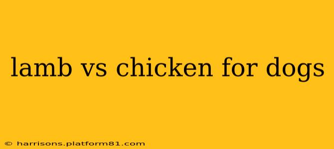 lamb vs chicken for dogs
