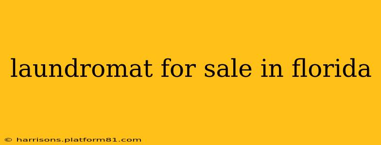 laundromat for sale in florida