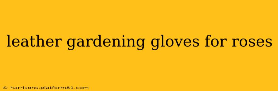 leather gardening gloves for roses