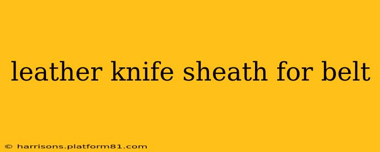 leather knife sheath for belt