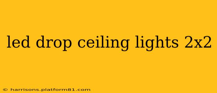 led drop ceiling lights 2x2