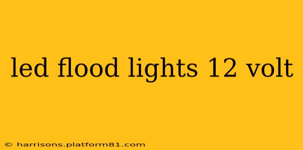 led flood lights 12 volt