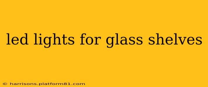 led lights for glass shelves