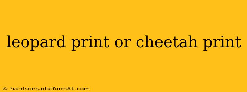 leopard print or cheetah print