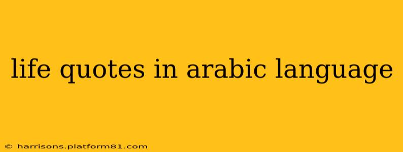 life quotes in arabic language