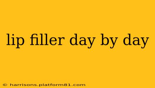 lip filler day by day