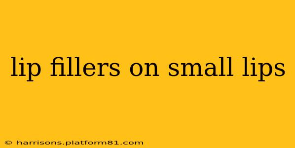 lip fillers on small lips