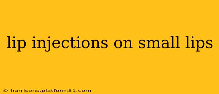 lip injections on small lips