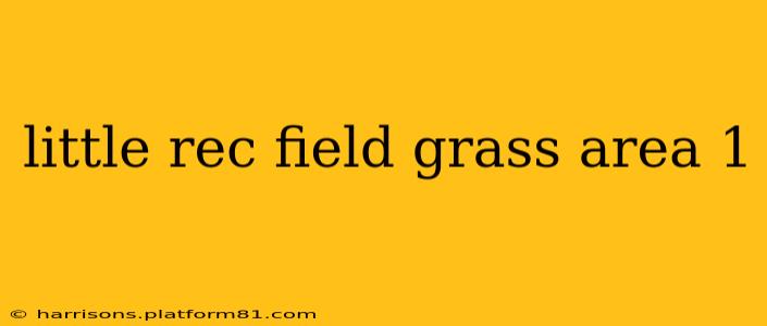 little rec field grass area 1