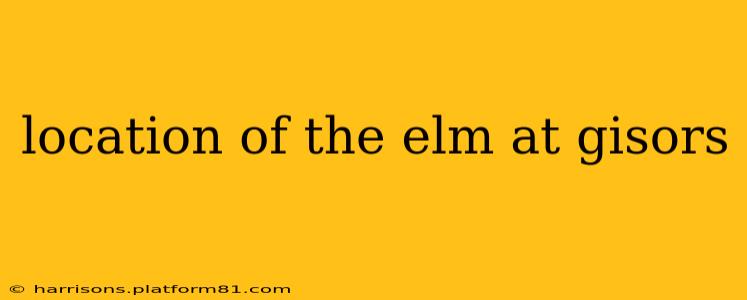 location of the elm at gisors